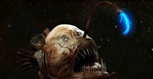 深海龍魚和食人魚哪個更厲害