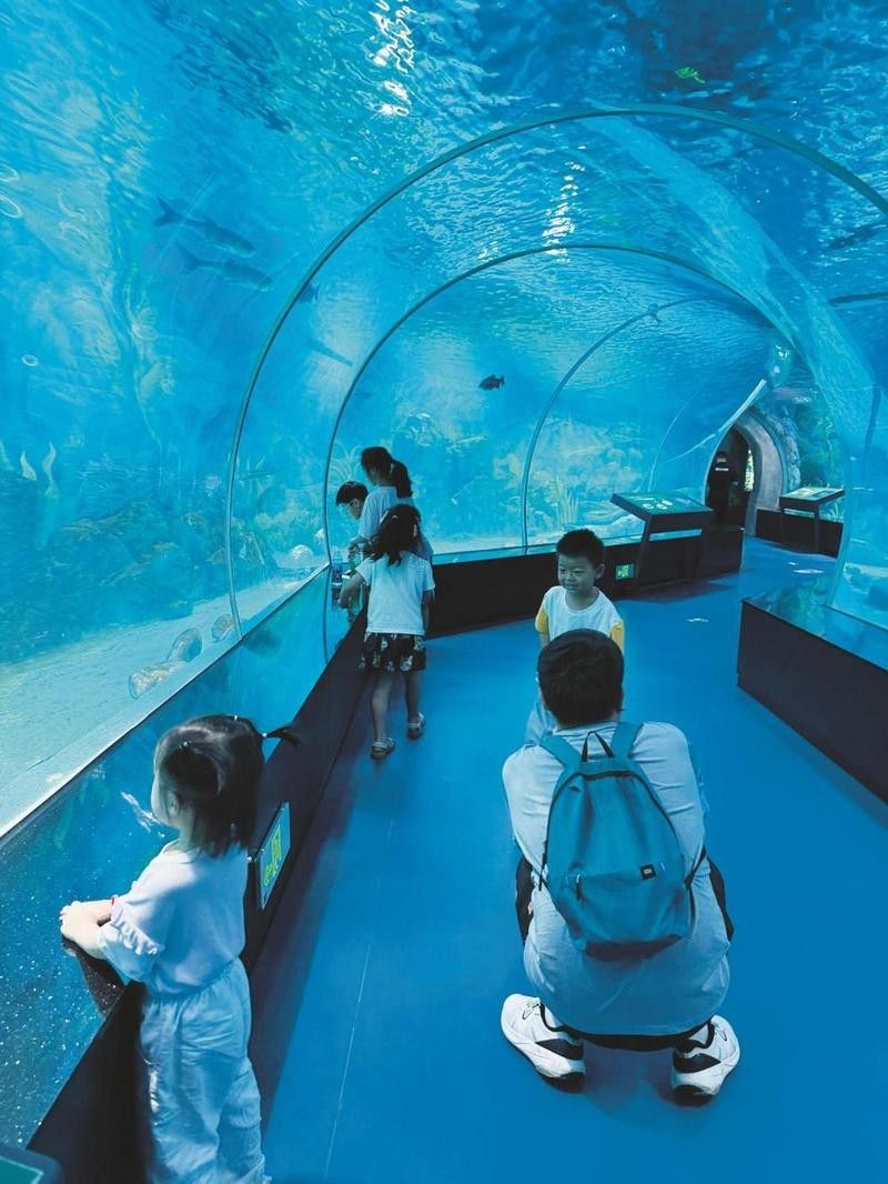 新昌哪個水族館龍魚好？祥龍魚場龍魚