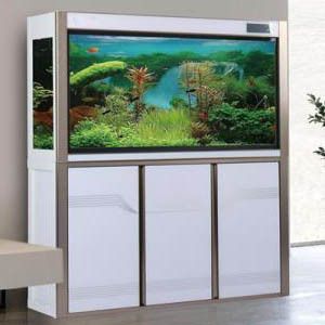 無錫魚缸批發市場：無錫哪里有魚缸批發市場