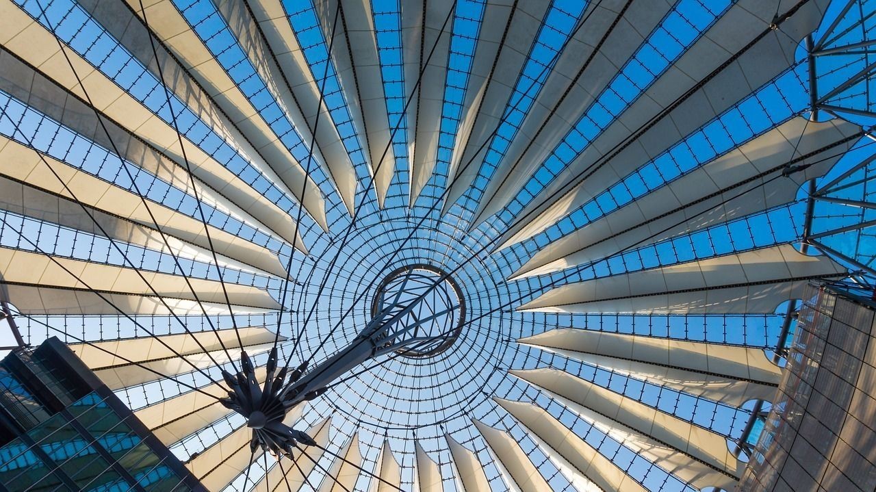 玻璃海象魚：海象魚吧（玻璃海象魚的亮點依次如下：玻璃海象魚的亮點依次）