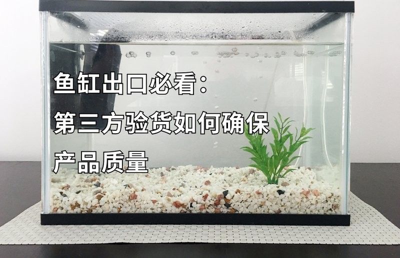 西龍魚缸管件密封性檢查頻率（關于西龍魚缸管件密封性檢查的建議）