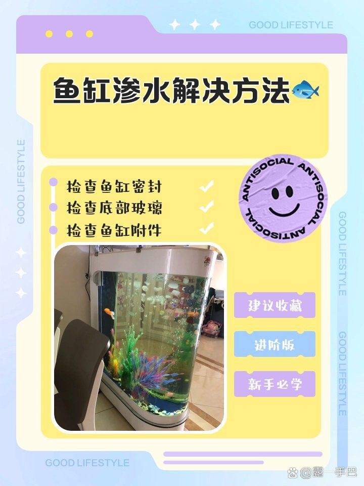 西龍魚缸管件密封性檢查頻率（關于西龍魚缸管件密封性檢查的建議）