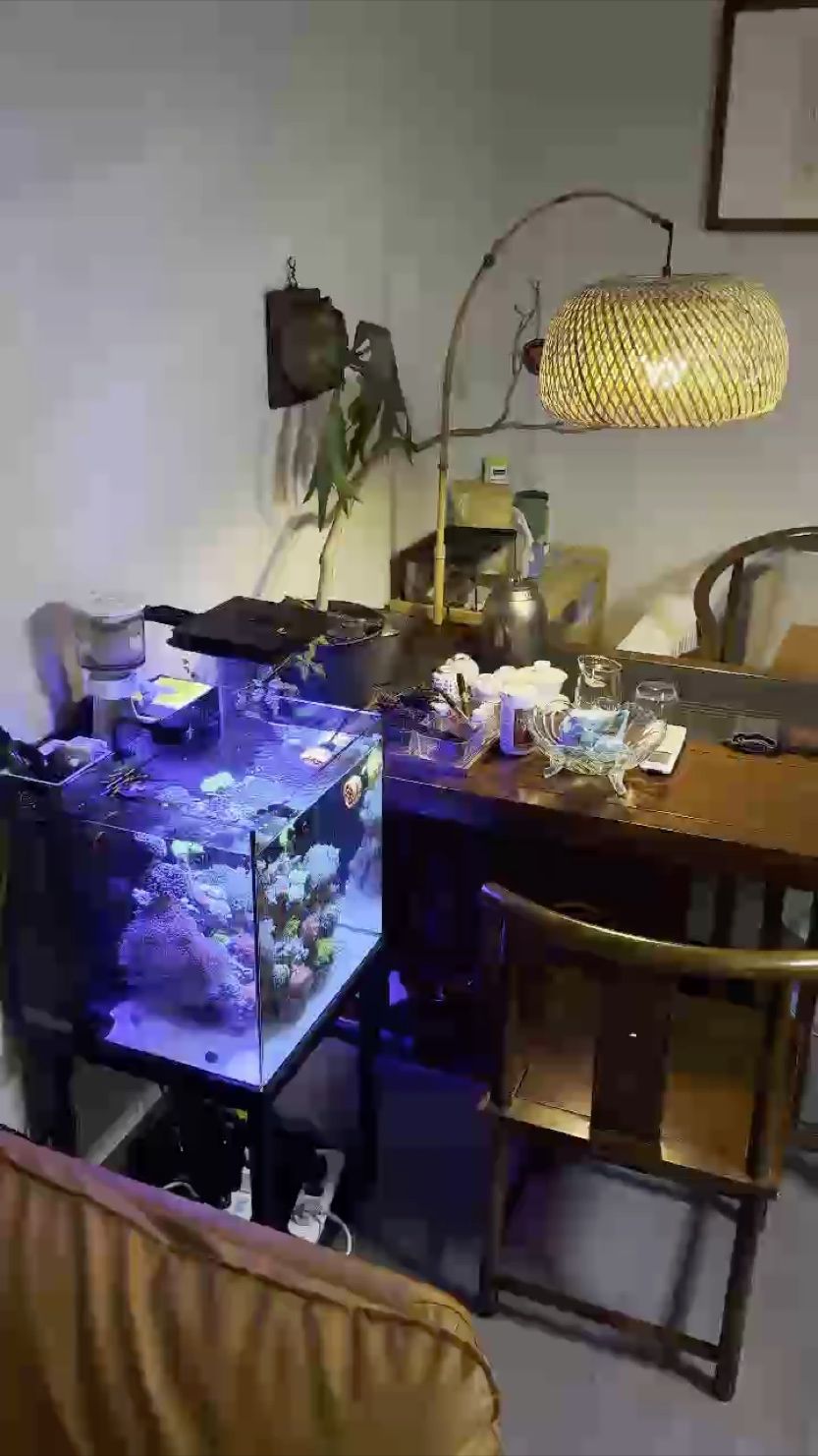 放空時間（放空時間對個人心理健康具有積極影響）