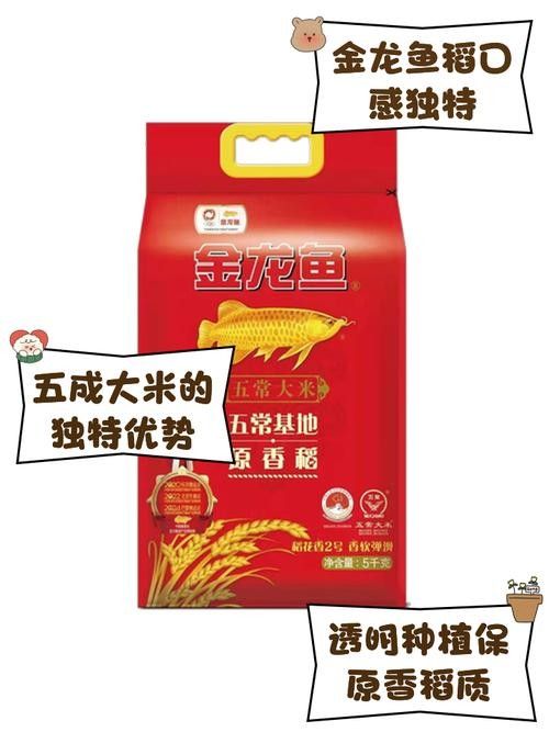 金龍魚五常原香稻有哪些品種？（金龍魚五常原香稻）
