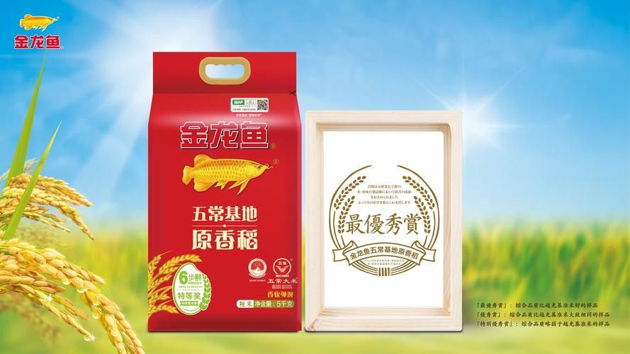 金龍魚五常原香稻有哪些品種？（金龍魚五常原香稻）