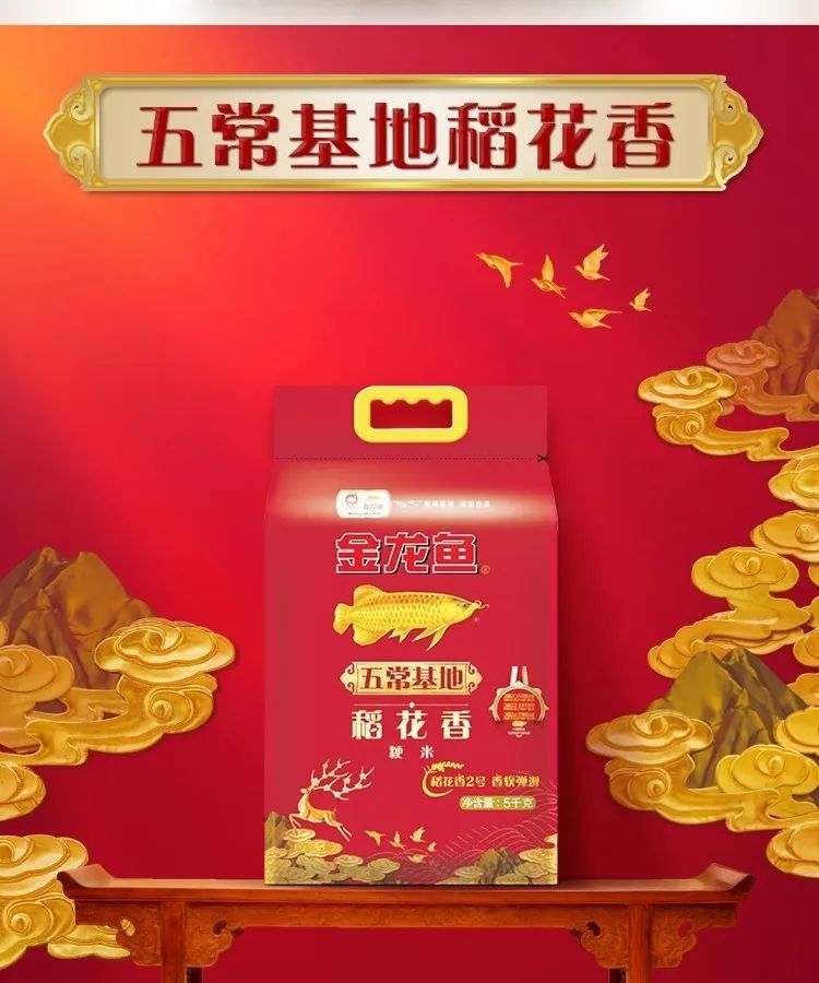 金龍魚五常原香稻有哪些品種？（金龍魚五常原香稻） 金龍魚五常原香稻有哪些品種？（金龍魚五常原香稻） 龍魚百科 第6張