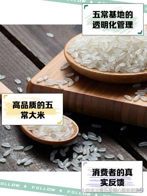 金龍魚五常原香稻有哪些品種?(金龍魚五常原香稻) 龍魚百科 第4張 金龍魚五常原香稻有哪些品種?(金龍魚五常原香稻) 金龍魚五常原香稻有哪些品種?(金龍魚五常原香稻) 龍魚百科 第4張