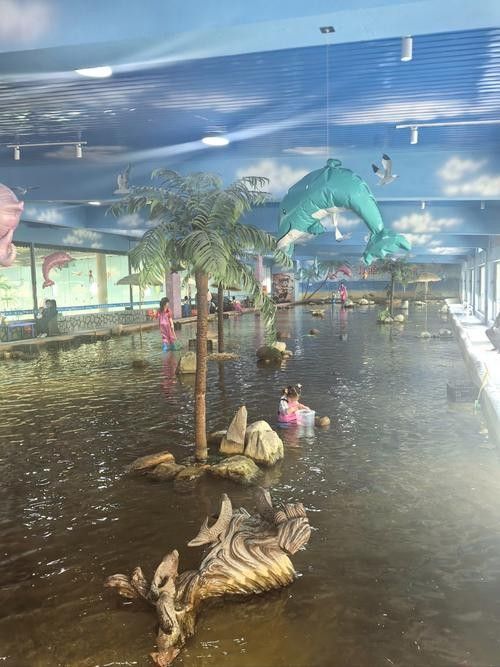 江城哪個水族館龍魚好？祥龍魚場龍魚