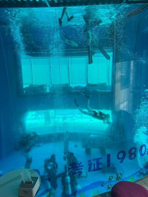 江城哪個水族館龍魚好?祥龍魚場龍魚 龍魚百科 第5張 江城哪個水族館龍魚好?祥龍魚場龍魚 江城哪個水族館龍魚好?祥龍魚場龍魚 龍魚百科 第5張