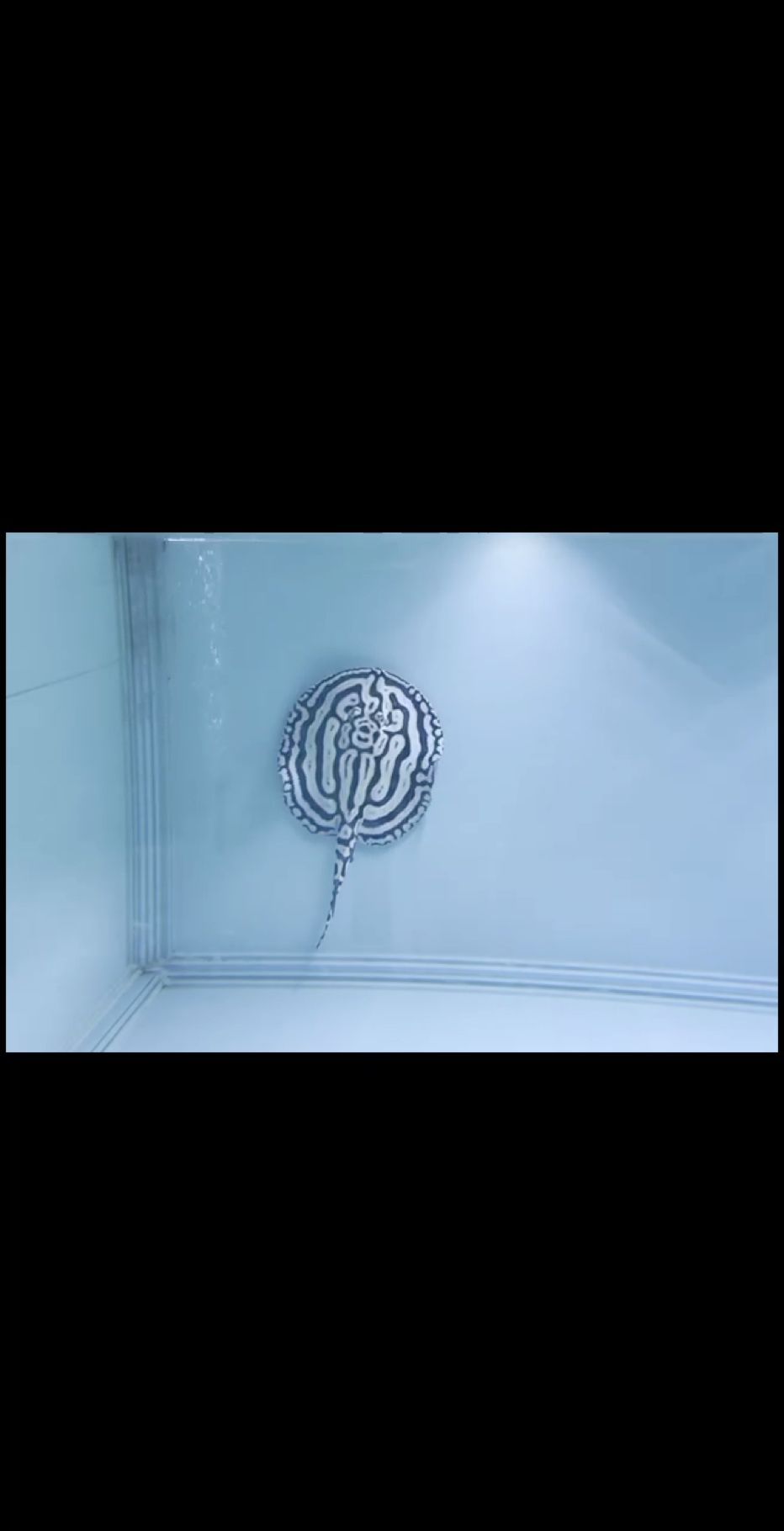 臺灣超級印超機LIANG靚系列（臺灣超級印超機liang靚系列）