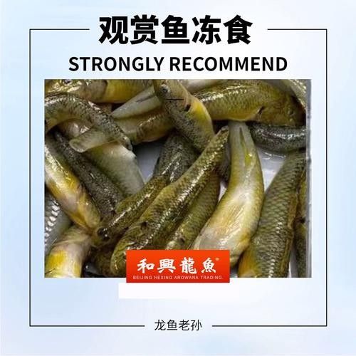 線上購買和興龍魚可靠嗎？（線上購買和興龍魚可靠嗎）