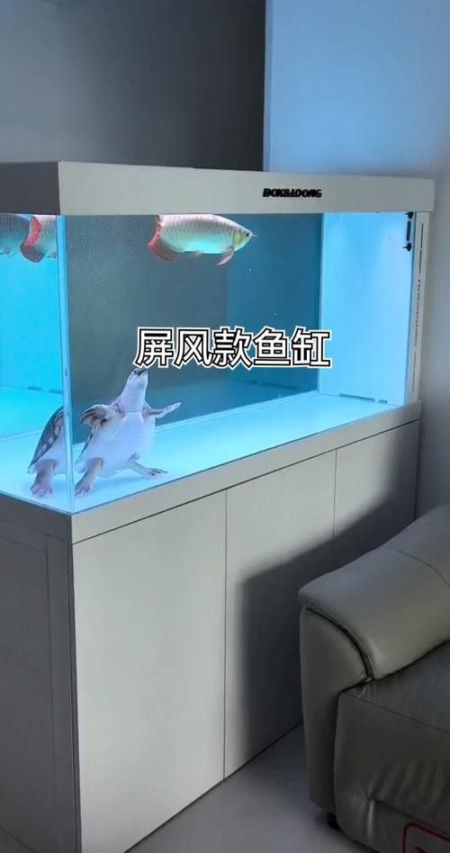 博世龍魚缸的價格范圍（博世龍魚缸價格、批發報價、價格大全）