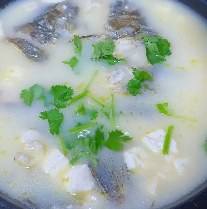 金龍魚湯的具體做法（金龍魚湯怎么做好喝？）