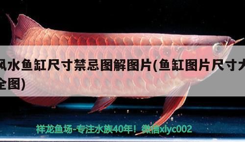 如何聯(lián)系和興紅龍官方認(rèn)證？，和興紅龍官方認(rèn)證有哪些類(lèi)型？