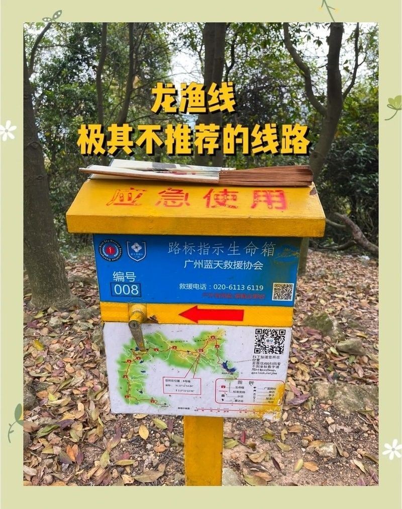 龍漁線全程需要多長時間（影響龍漁線全程時間的因素）