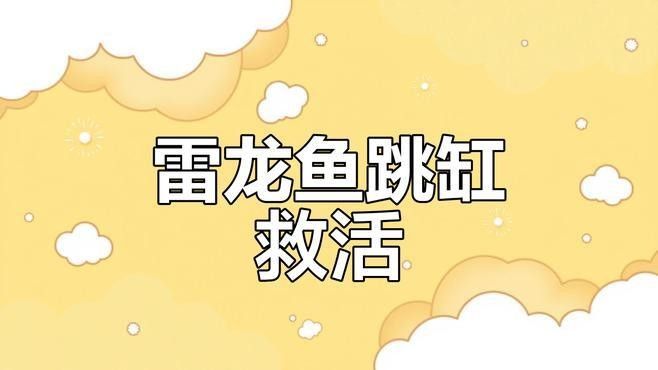 雷龍魚跳缸怎么辦？（玖柒錢多多雷龍魚跳缸怎么辦春天調(diào)缸技巧大公開依盞啵啵）