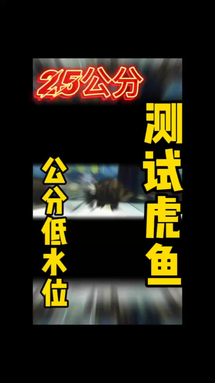 虎魚明不明看這里（虎魚不具備發(fā)光能力，但它們不具備發(fā)光能力）