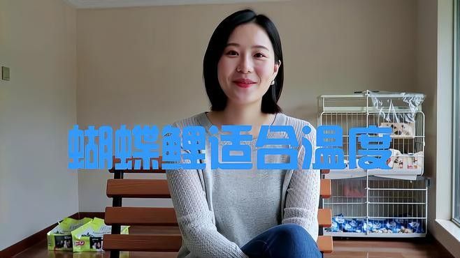 混養(yǎng)蝴蝶鯉和龍魚(yú)需要哪些特殊設(shè)備（養(yǎng)蝴蝶鯉和龍魚(yú)需要特殊的設(shè)備來(lái)確保兩種魚(yú)類的健康和安全）