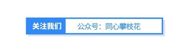 攀枝花有哪些冷水魚商家（四川攀枝花地區的冷水魚商家及產業信息綜合自企業注冊新聞報道）