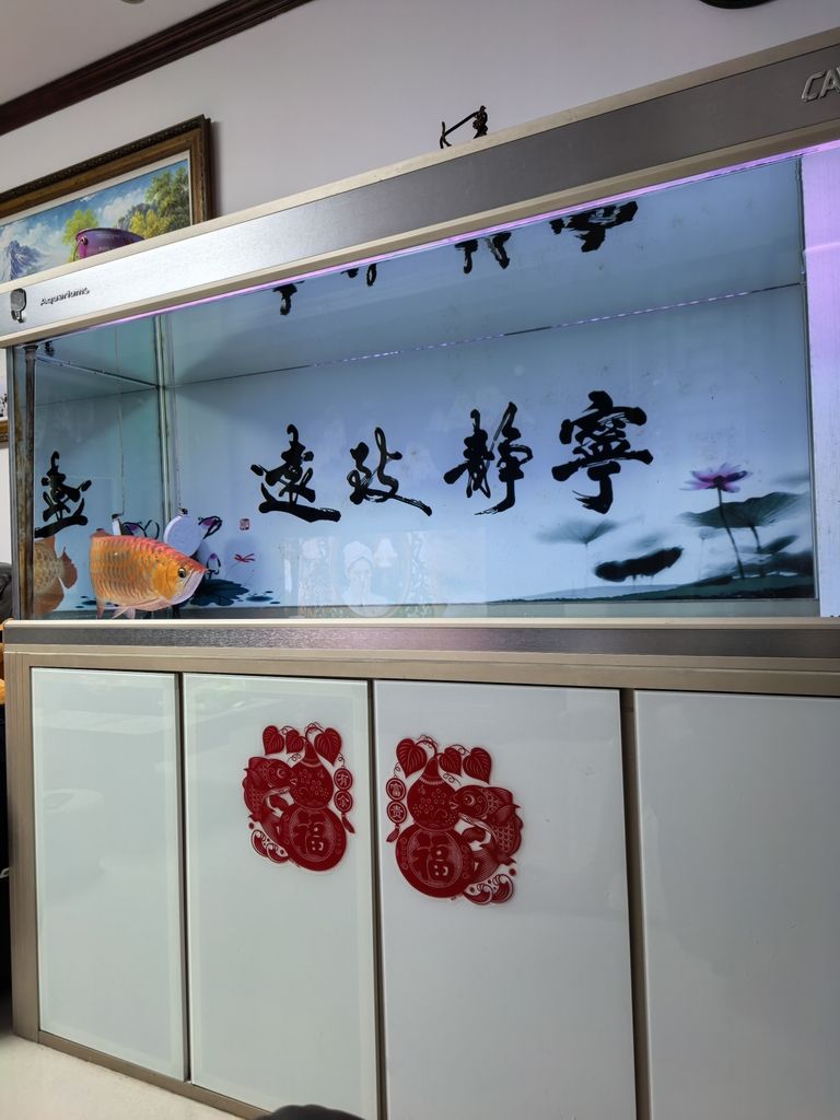 再加，mylove（“再加，mylove”內(nèi)涵與影響深入探討“再加）