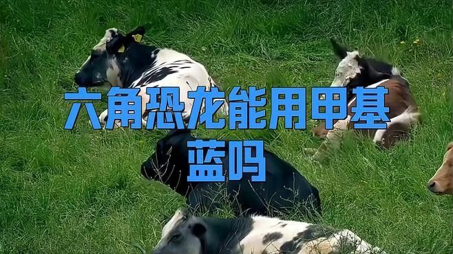 如何預防恐龍魚生病？（恐龍魚的養殖方法）