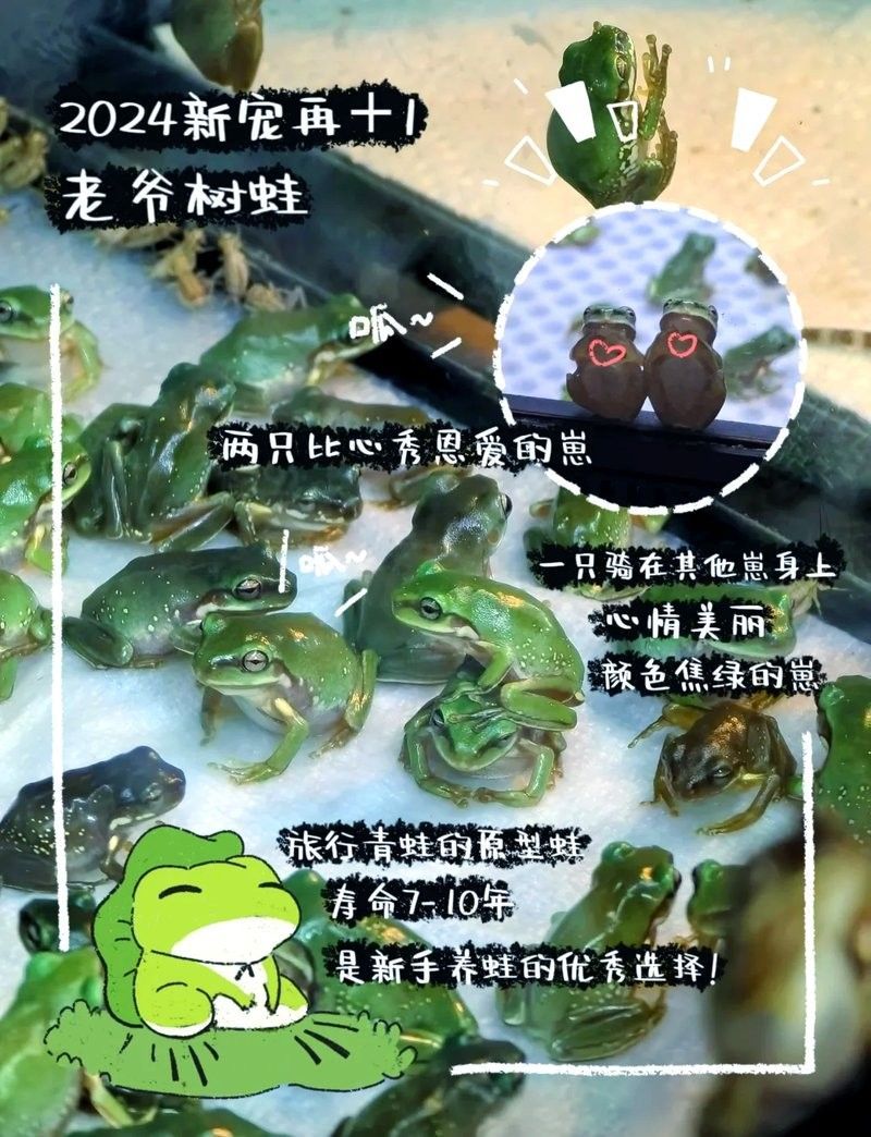 官園市場的營業時間是？（北京周末遛娃好去處|官圓市場探秘）