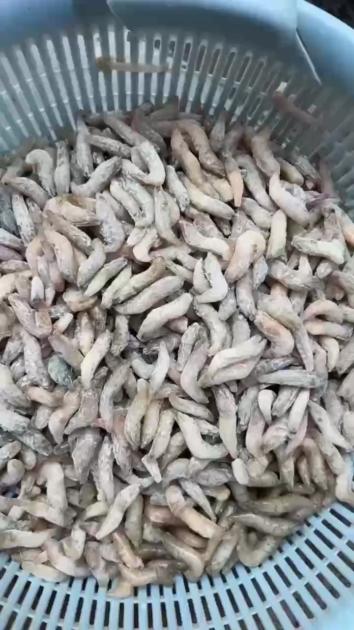 長期有（布吉污彥祖評論：長期投資策略的重要性及其在現代金融市場中的應用）