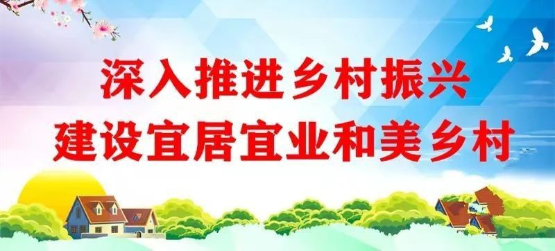 紅龍茶葉有哪些創新產品（紅龍茶葉的創新產品中哪款最受歡迎？）