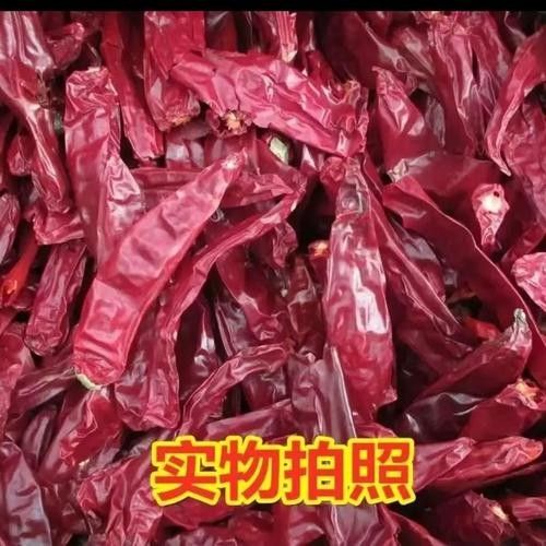 辣椒紅龍的市場價格是多少？（9月30日庫爾勒干辣椒價格行情）