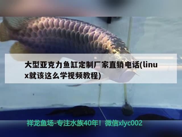 大型亞克力魚缸定制廠家直銷電話(linux就該這么學(xué)視頻教程)（北京宏立隆發(fā)亞克力有機(jī)玻璃制品）
