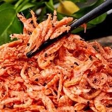 SICCE磷蝦的價格是多少？（sicce南極磷蝦價格） SICCE磷蝦的價格是多少？（sicce南極磷蝦價格） 龍魚百科 第7張