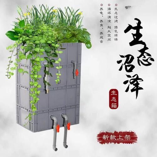 龍魚閣水族箱的價格范圍（龍魚閣水族箱價格）