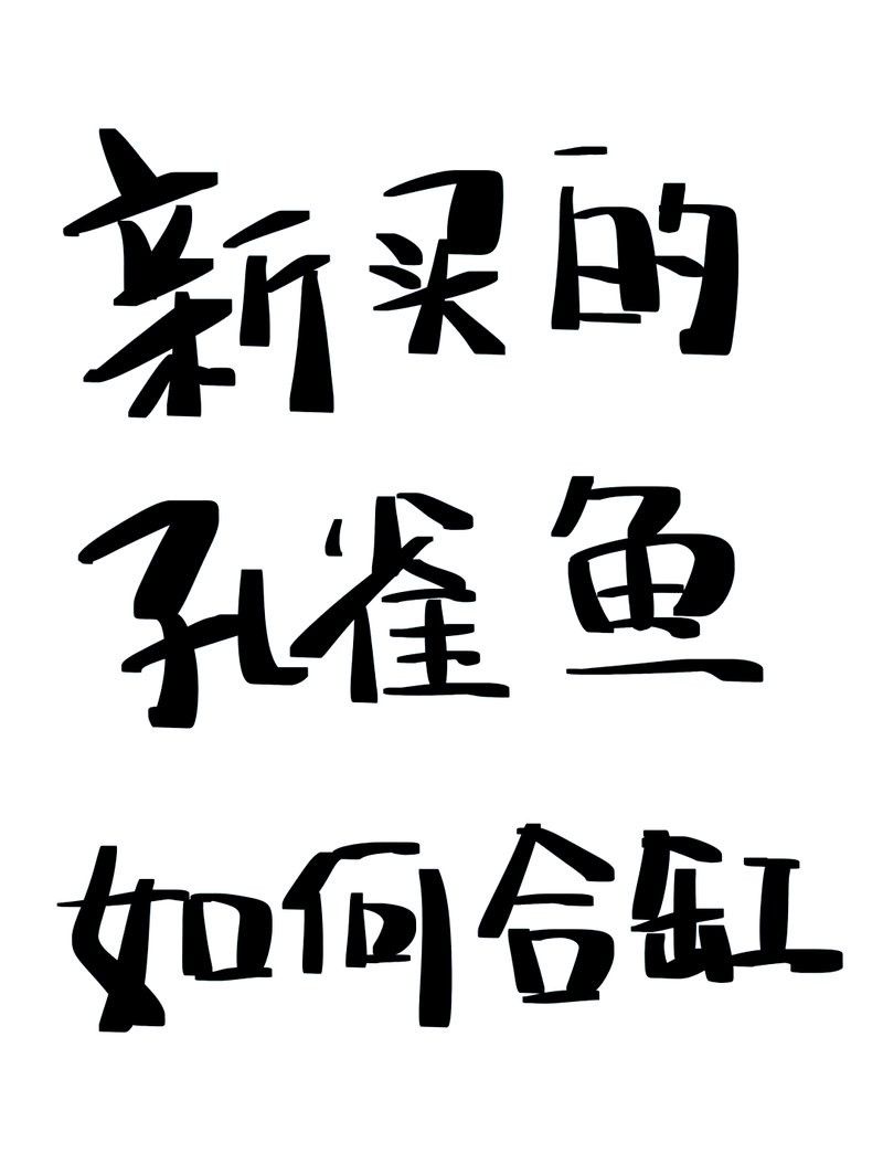 檢疫完成后多久可以合缸（玄寵宿舍,新魚入缸全攻略）