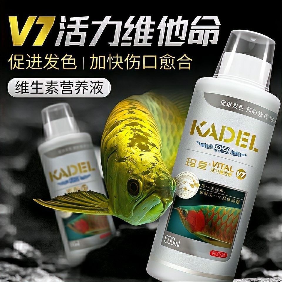 如何給紅龍魚添加維生素（給紅龍魚添加維生素的一些建議）