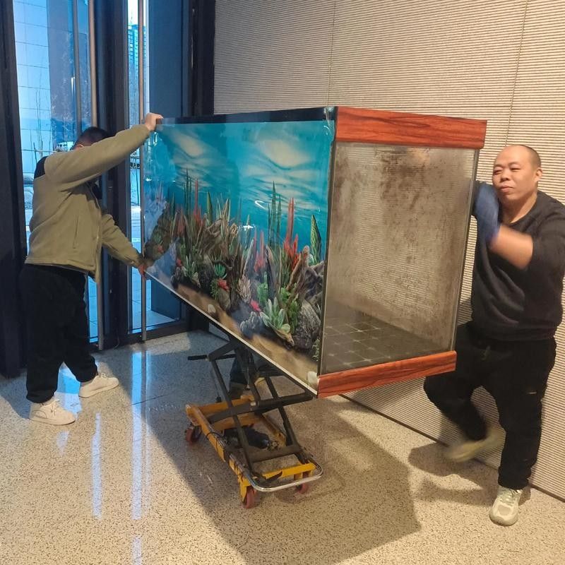 龍魚魚缸背景布多久換一次（觀賞魚世界）