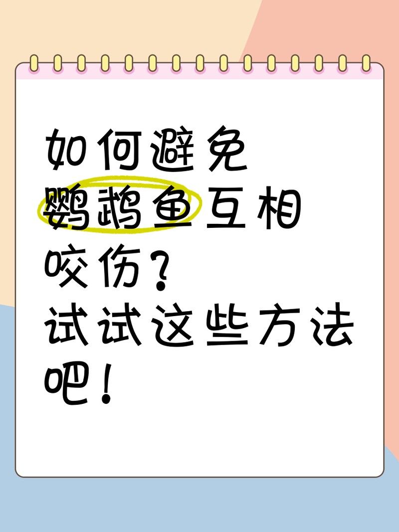 如何減少飛鳳魚(yú)被咬的可能性（水墨漫畫(huà)少女喵醬飛鳳魚(yú)的飼養(yǎng)技巧和注意事項(xiàng)）