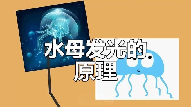 如何判斷深海龍魚發(fā)光器是否完全恢復(fù)（判斷深海龍魚發(fā)光器是否完全恢復(fù)的方法深海龍魚發(fā)光器已恢復(fù)）
