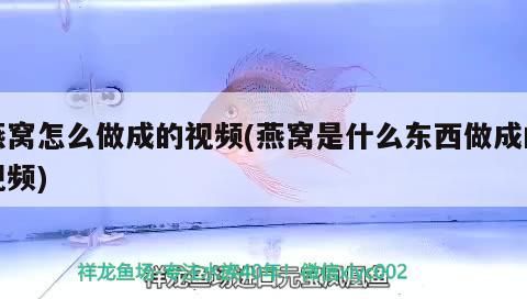 三亞魚缸酒店電話號碼查詢（三亞市魚缸實體店在哪里）（三亞旅游攻略，）