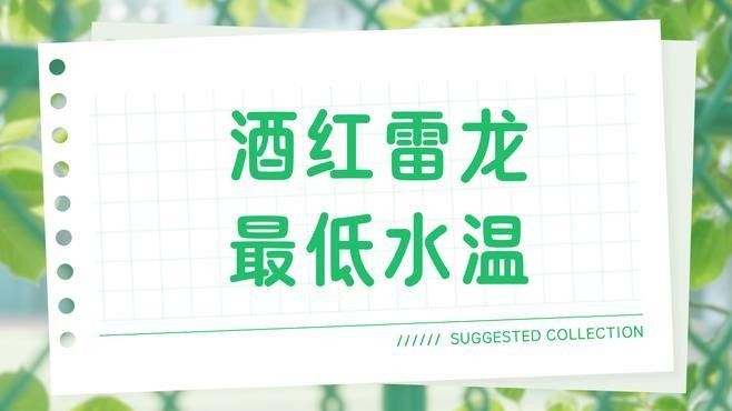 哪些雷龍魚品種能耐低溫（耐低溫的雷龍魚）