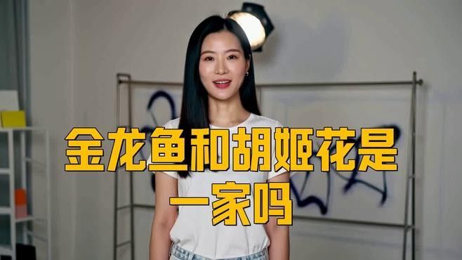 金龍魚有哪些子品牌（金龍魚子品牌中哪個銷量最好？）