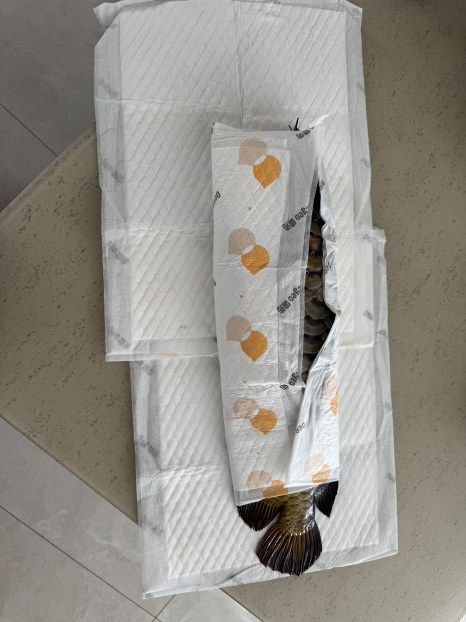 回歸自然，祝你一切安好。（回歸自然，愿你一切安好）