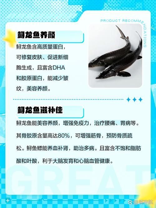 鱘龍魚的不同品種圖片（鱘魚的不同品種圖片） 鱘龍魚的不同品種圖片（鱘魚的不同品種圖片） 龍魚百科 第32張