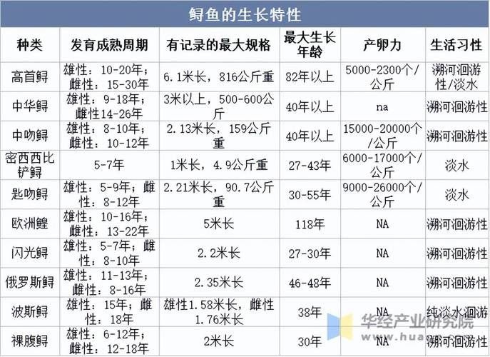 鱘龍魚的不同品種圖片（鱘魚的不同品種圖片） 鱘龍魚的不同品種圖片（鱘魚的不同品種圖片） 龍魚百科 第34張