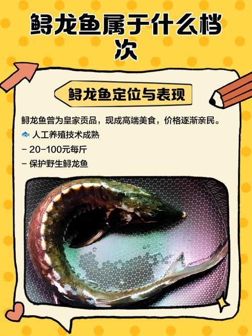 鱘龍魚的不同品種圖片（鱘魚的不同品種圖片） 鱘龍魚的不同品種圖片（鱘魚的不同品種圖片） 龍魚百科 第33張