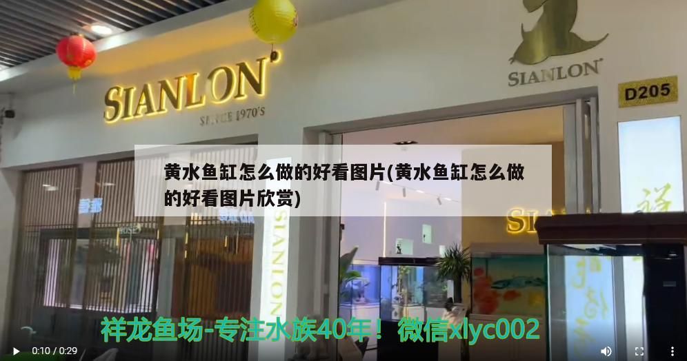 黃水魚缸怎么做的好看圖片(黃水魚缸怎么做的好看圖片欣賞)（黃水魚缸怎么做好看圖片的好看圖片欣賞圖片欣賞圖片欣賞）
