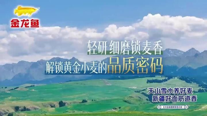 金龍魚智能溯源技術有哪些成功案例？（金龍魚智能溯源技術在國內成功應用）