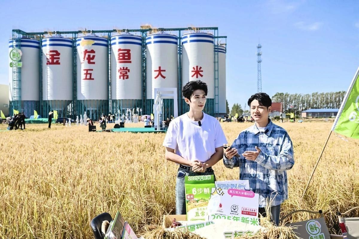 金龍魚智能溯源技術有哪些成功案例？（金龍魚智能溯源技術在國內成功應用）