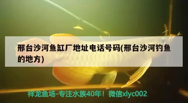 邢臺沙河魚缸廠地址電話號碼(邢臺沙河釣魚的地方)（河北省邢臺沙河魚缸廠地址電話號碼、地址電話號碼分享）