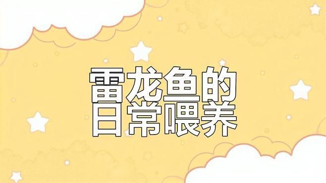 藍(lán)鉆雷龍魚的食物有哪些（養(yǎng)寵物雷龍魚喂食全攻略）
