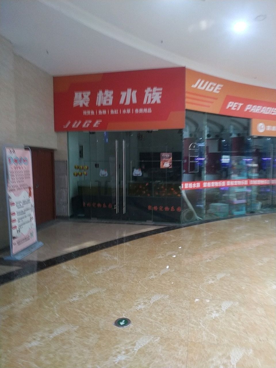 橋西市場有沒有水族店（河北石家莊市橋西區多家水族店購物商鋪信息）